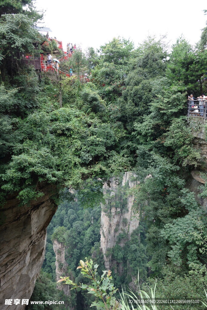 山间峡谷绿意盎然景致