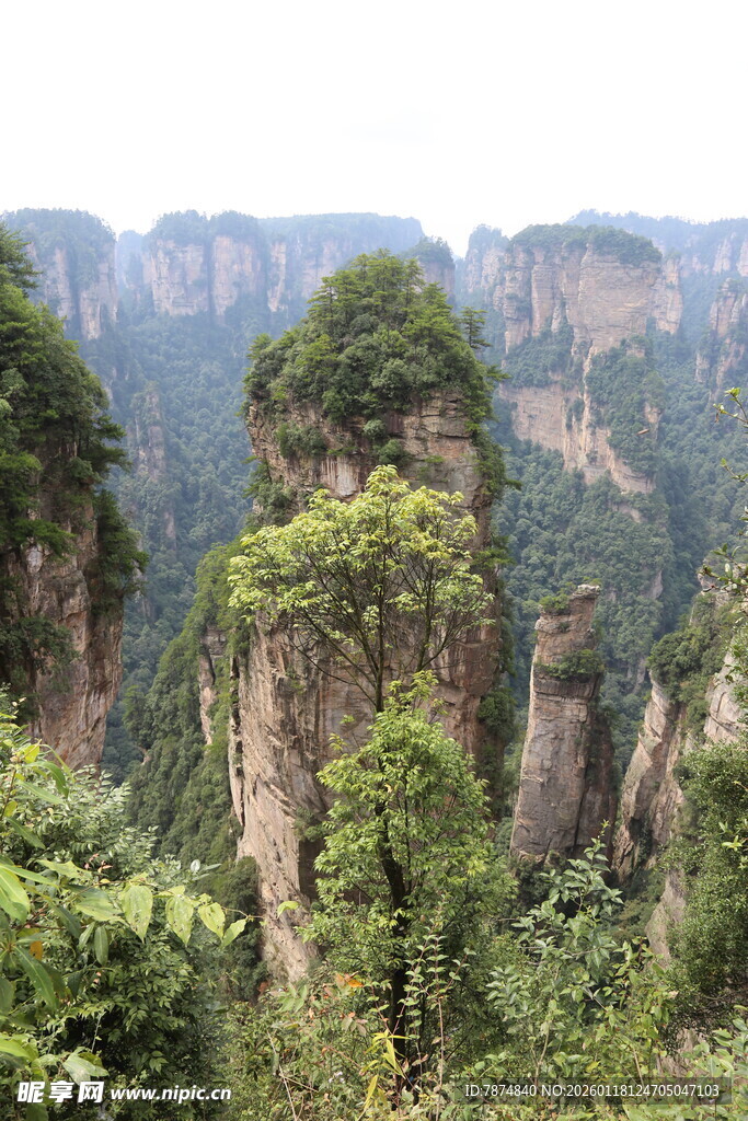 张家界奇峰异石景观