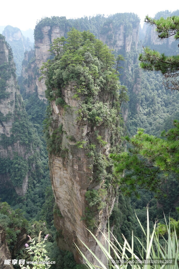 张家界奇峰景观