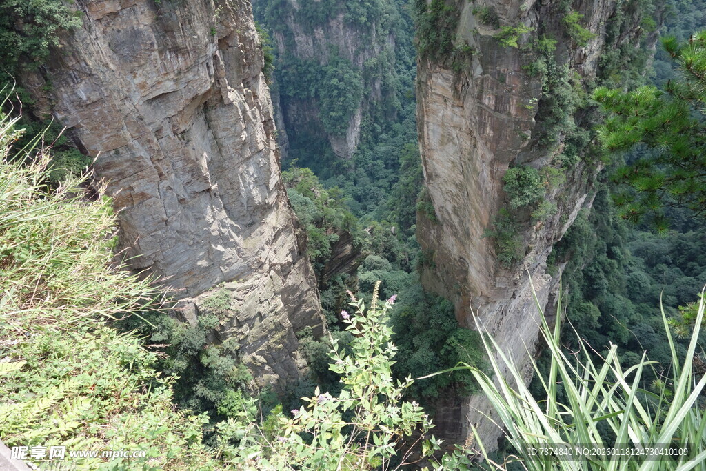 险峻峡谷间的翠绿景致
