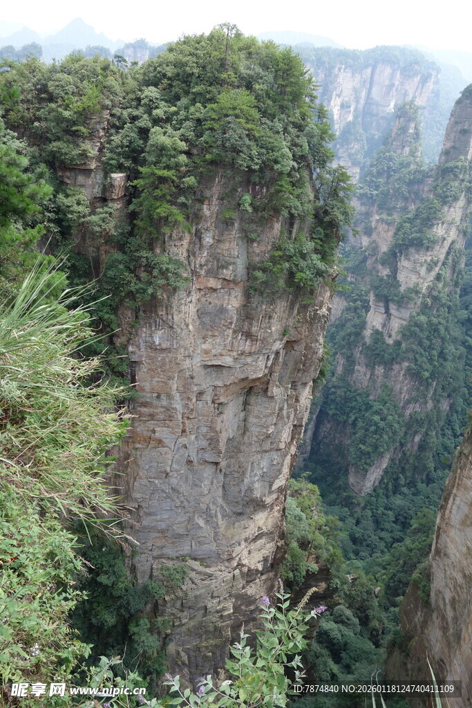 张家界奇峰 绿意盎然景观