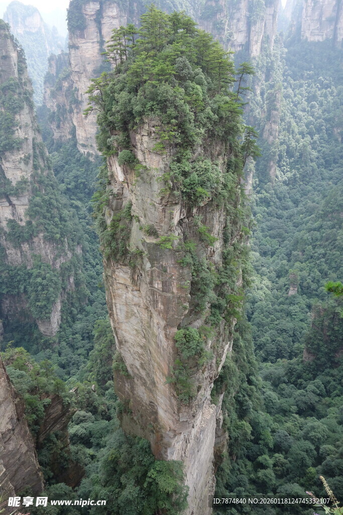 奇峰耸立的翠绿山林