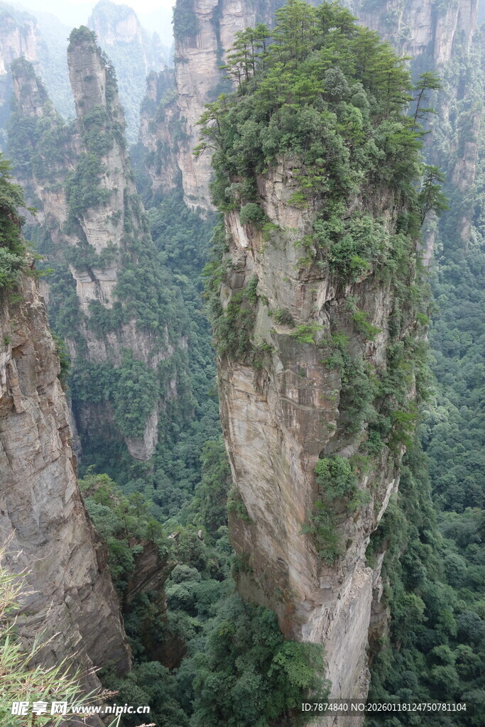 张家界奇峰 绿意盎然