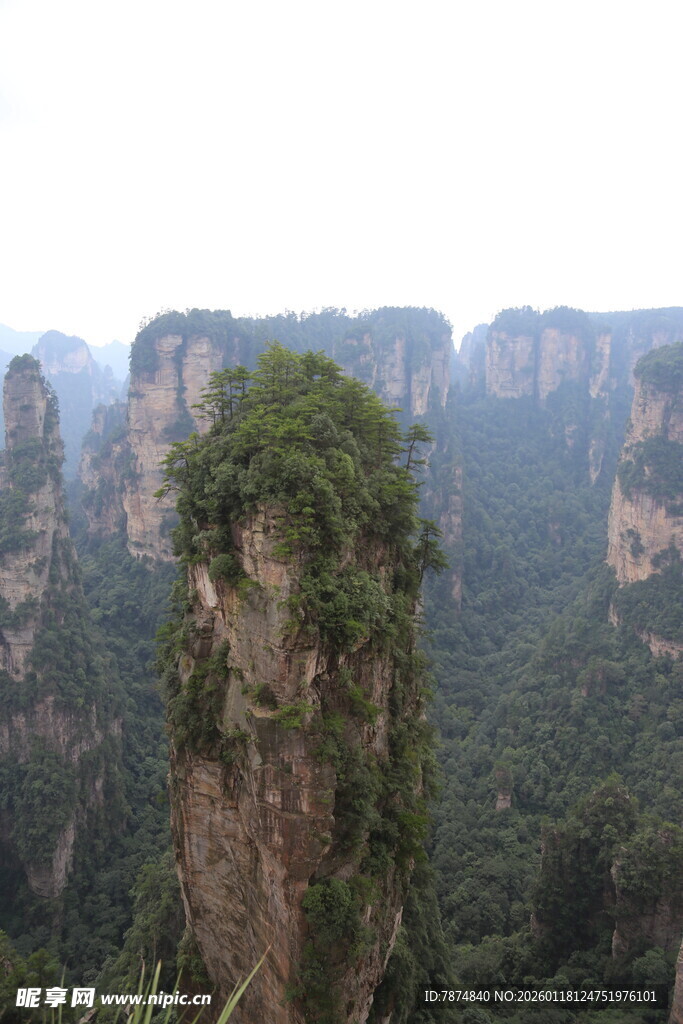 张家界奇峰 绿意盎然