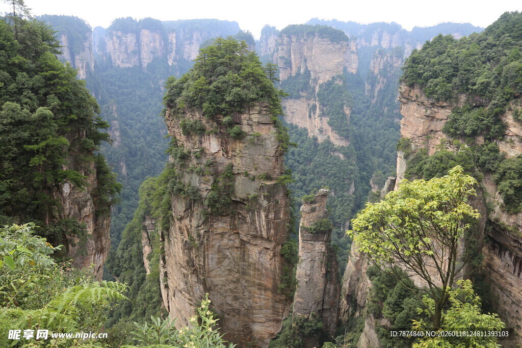 张家界奇峰异石景观