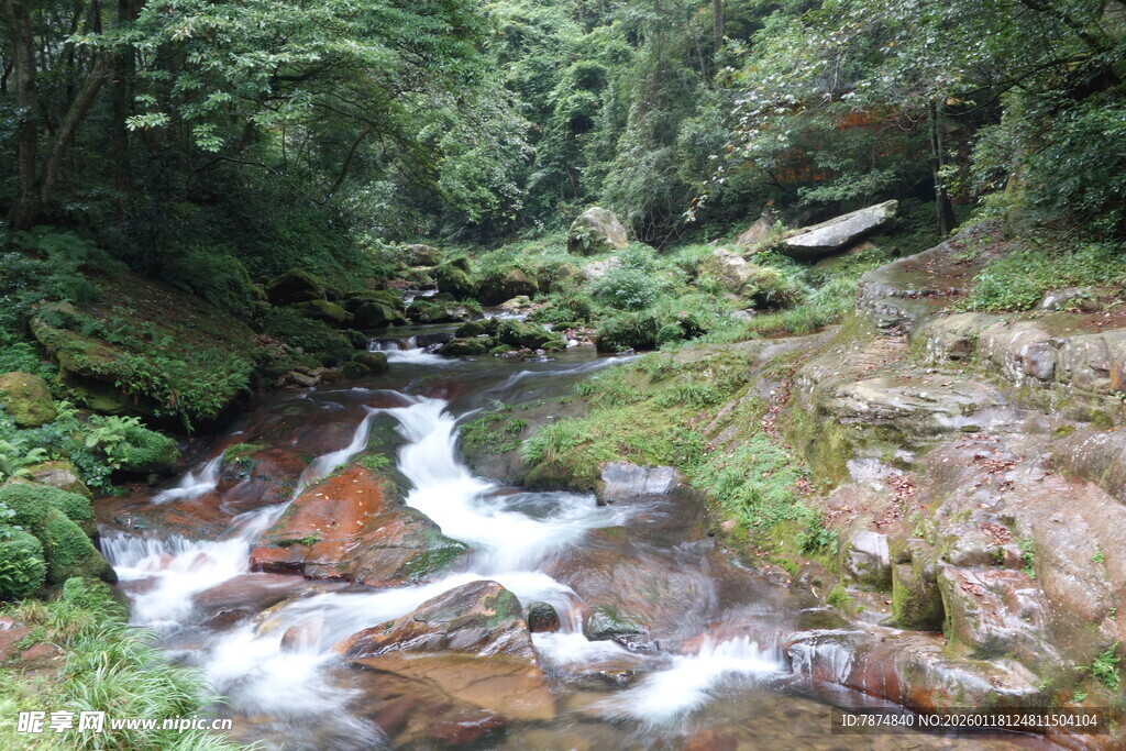 山间溪流 绿意盎然的景致