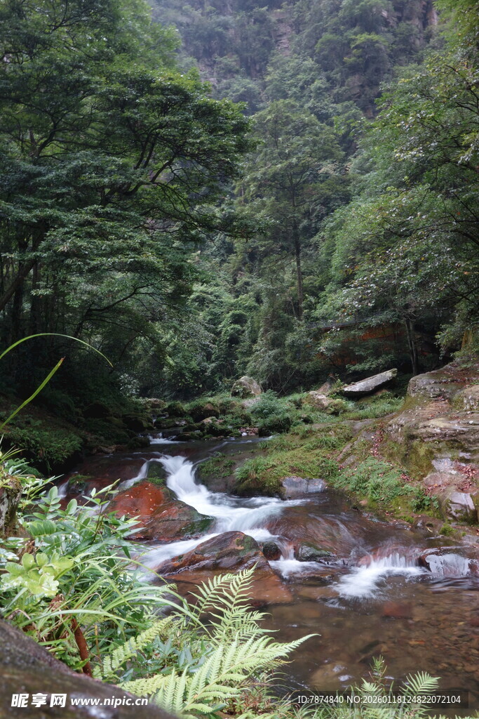 山间溪流 绿意盎然的自然景