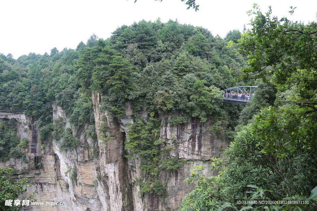 悬崖上的葱郁山林景观