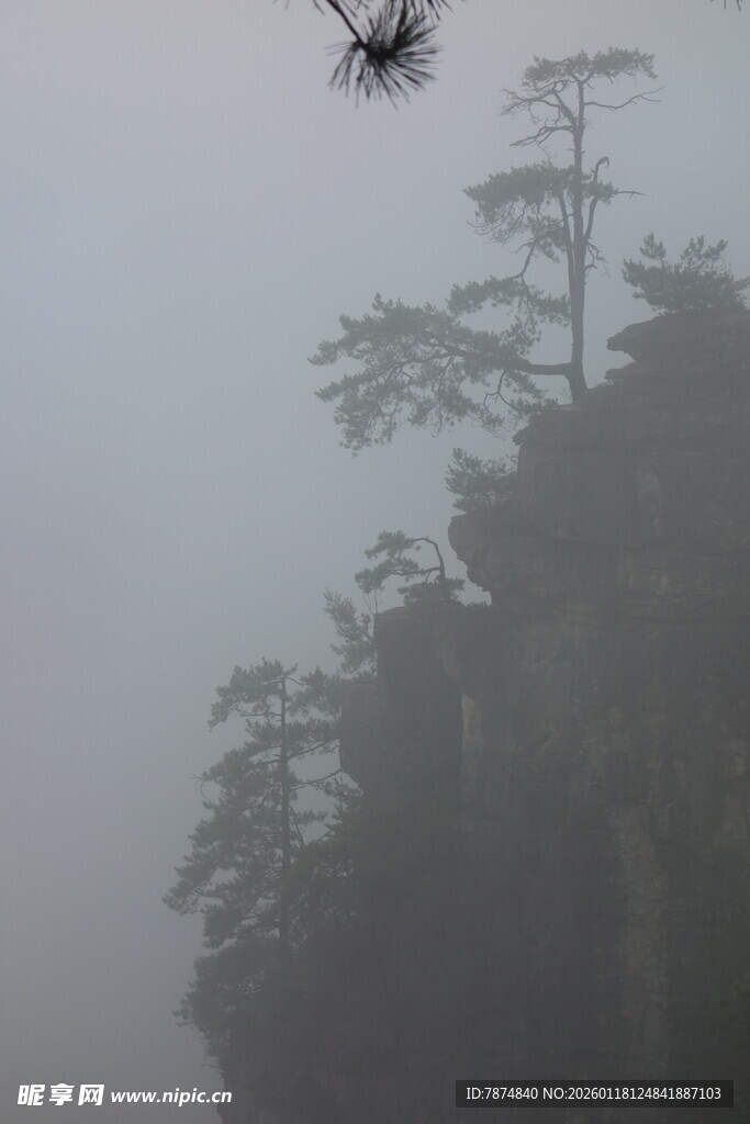 雾中飞鸟伴山林