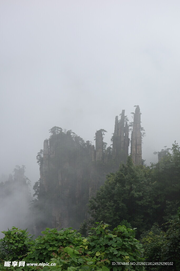 云雾缭绕中的奇幻山林