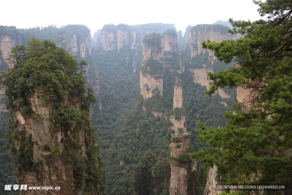 张家界奇峰景观