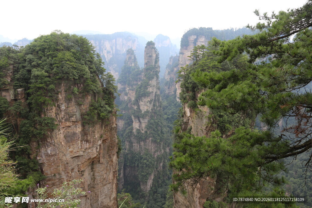 张家界奇峰异石景观