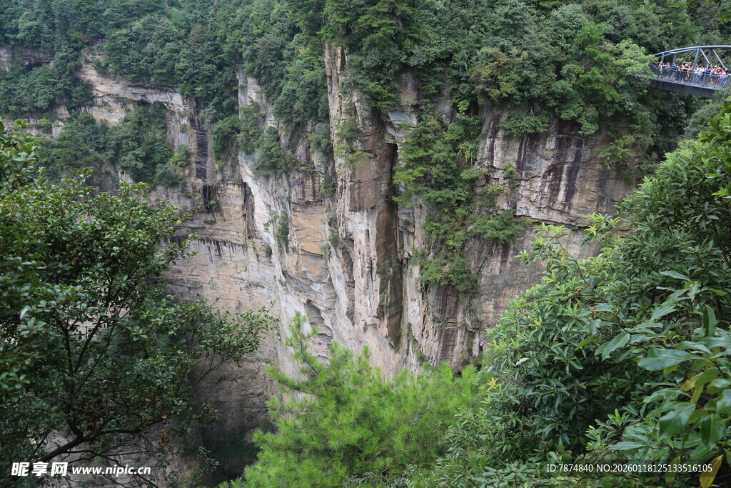 张家界奇峰异林景观