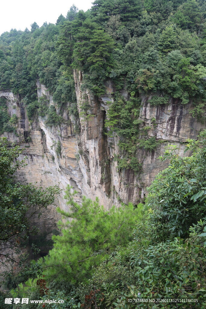 山间峭壁绿植环绕美景