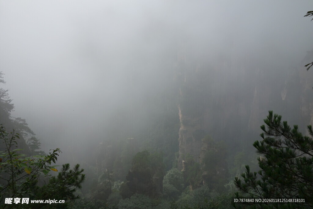 山间雾景 绿意朦胧