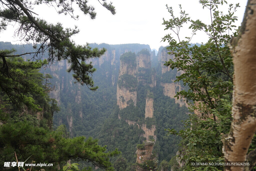 张家界奇峰美景