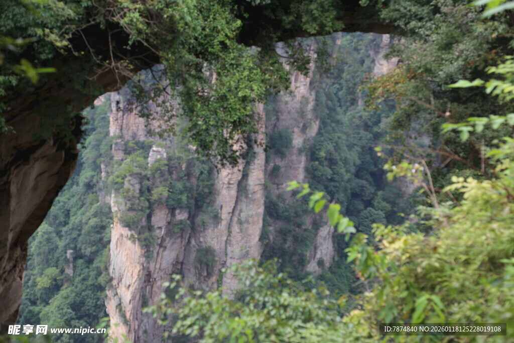 巍峨青山伴葱郁植被