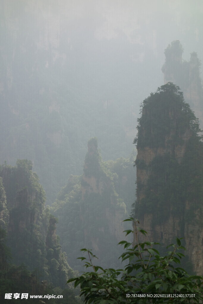 张家界奇峰云雾景观