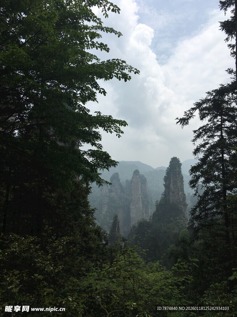 张家界奇峰林立的山林景观