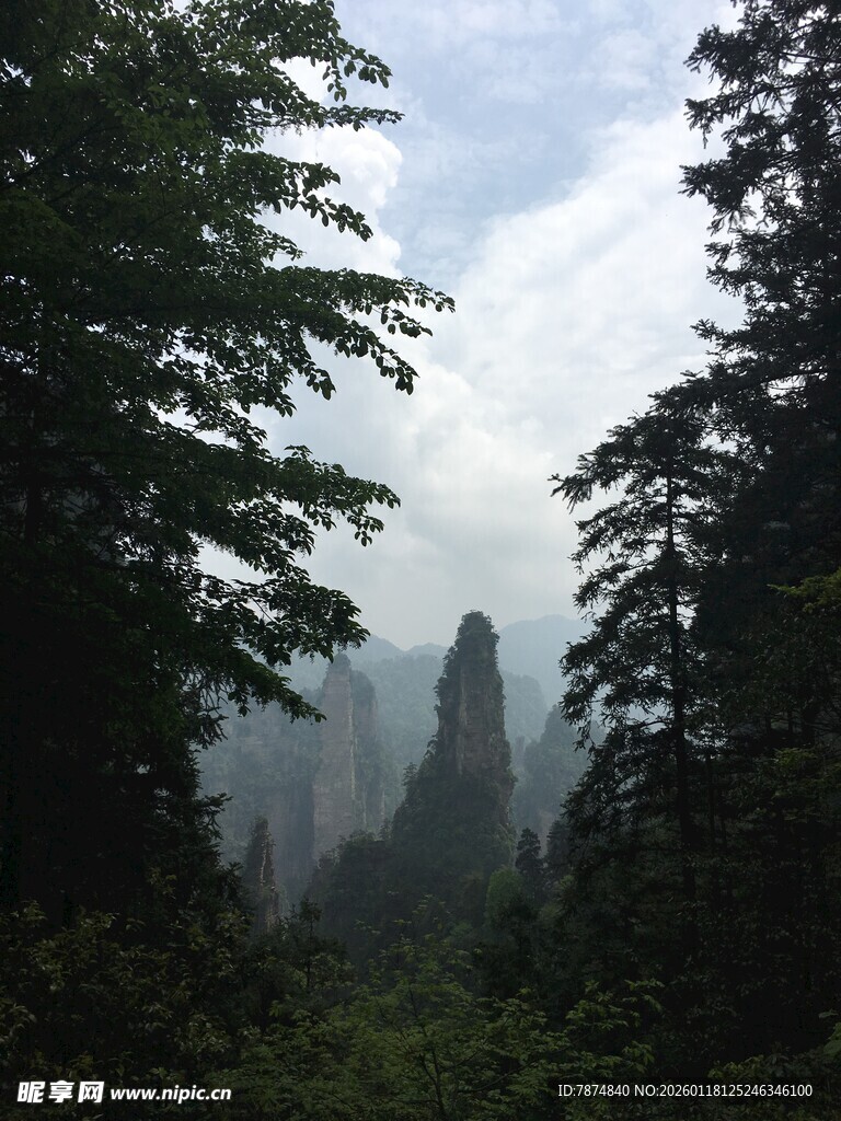 张家界奇峰云雾山林景