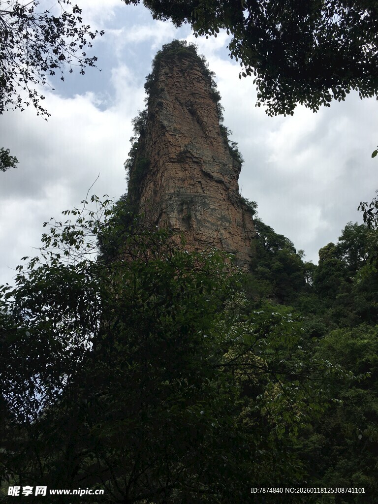 高耸岩峰隐于葱郁林间