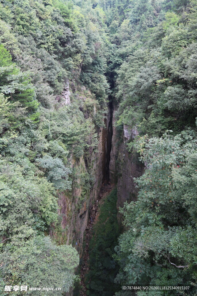 峡谷间的繁茂绿意
