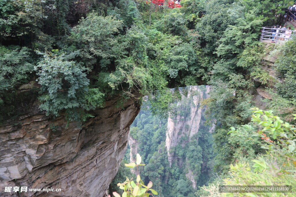 山间瀑布旁的葱郁景致