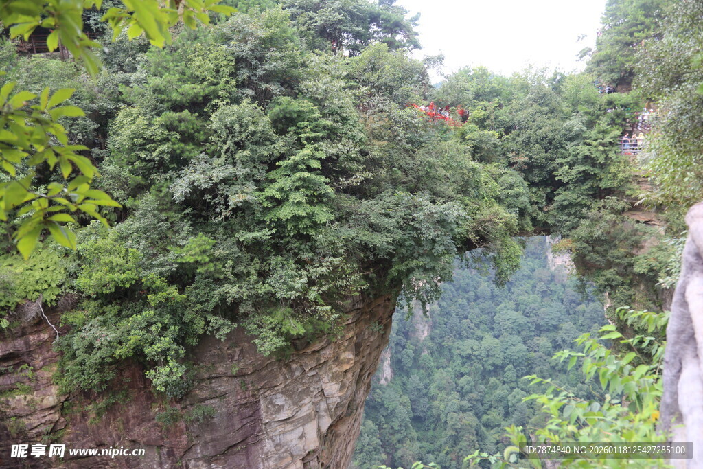 悬崖绿植景观