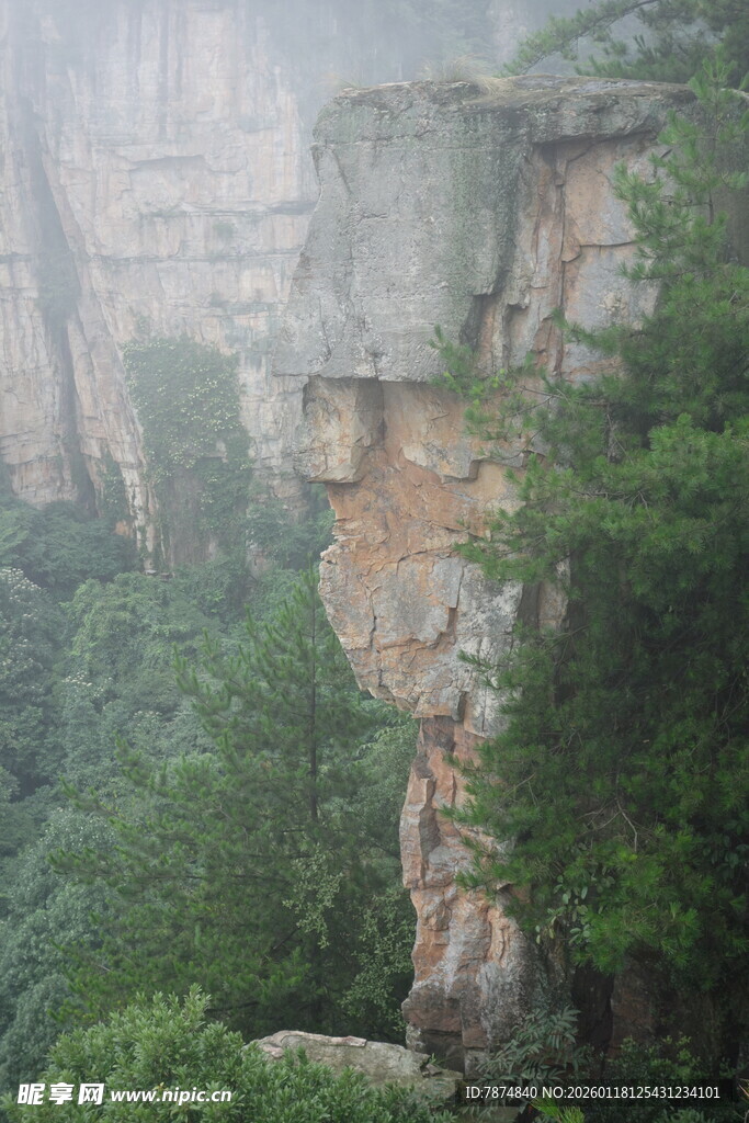 雾中奇峰异石景观