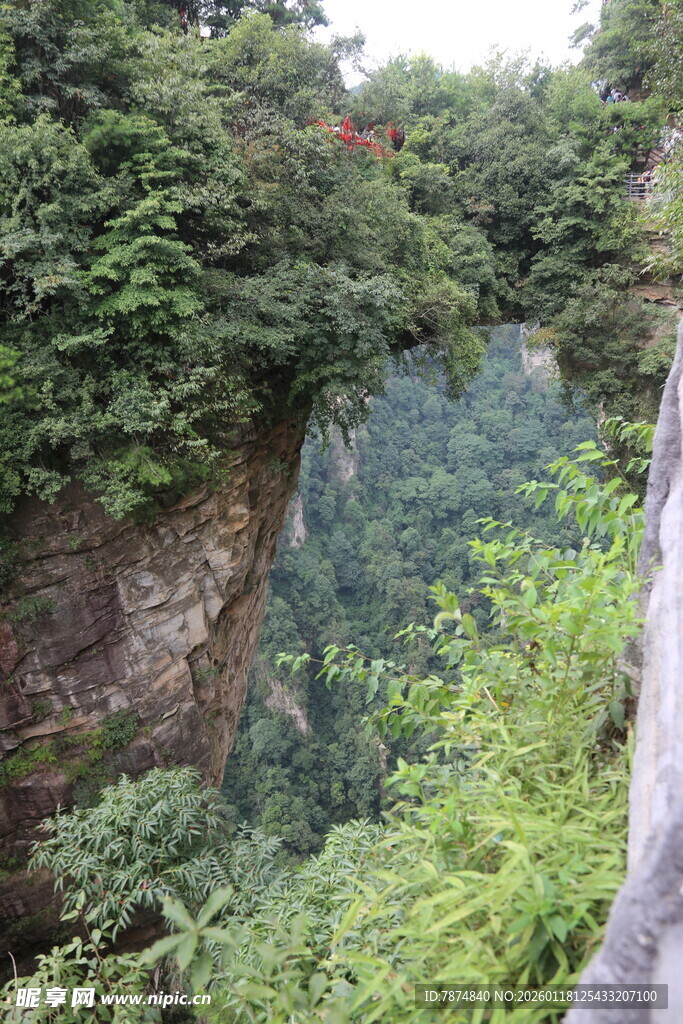 山间峡谷绿意盎然景观