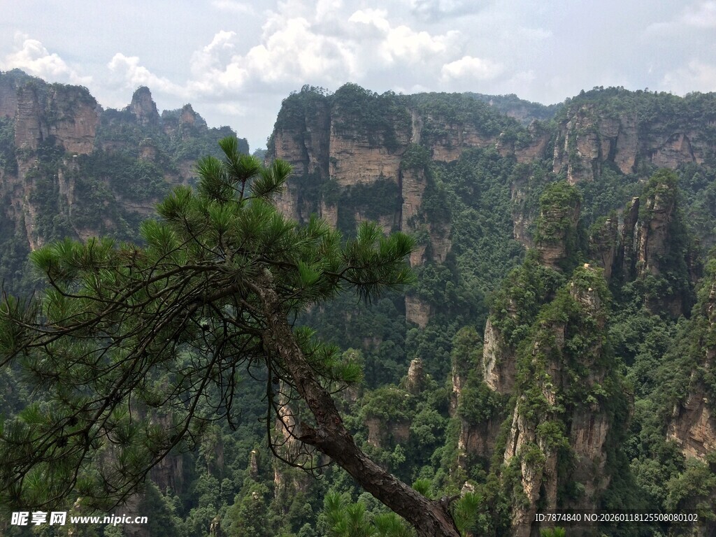 张家界奇峰异松美景