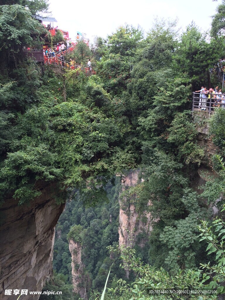 悬崖边繁茂植被景观