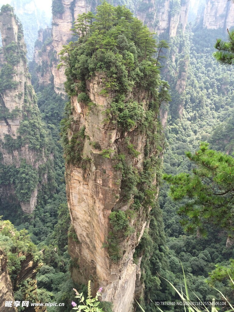 张家界奇峰 绿意盎然景观