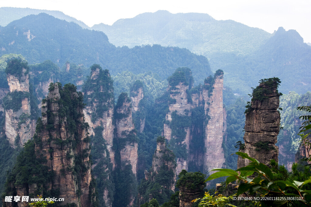 张家界奇峰林立美景