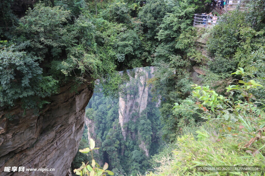 悬崖边繁茂绿植景观
