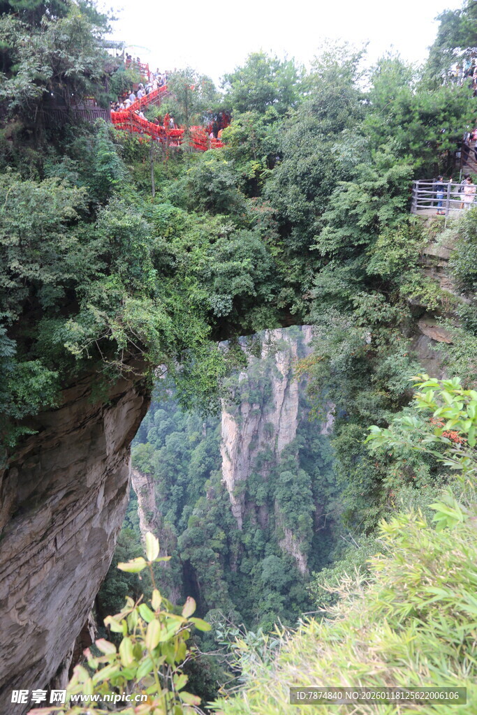 山间飞索穿梭于翠绿山林