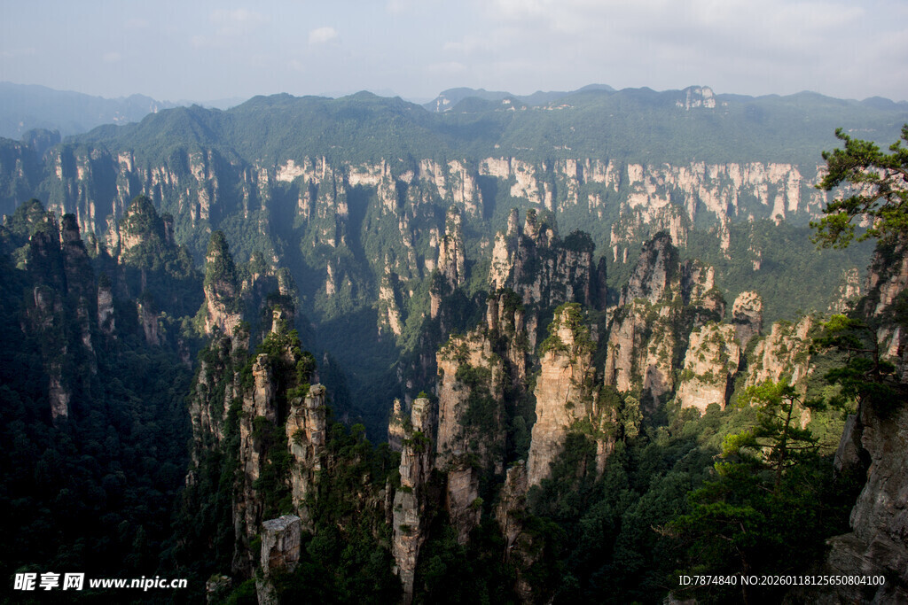 张家界奇峰美景