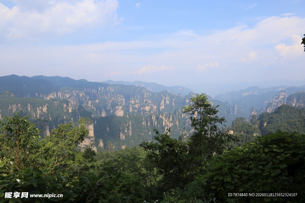 壮丽山峦间的葱郁景致