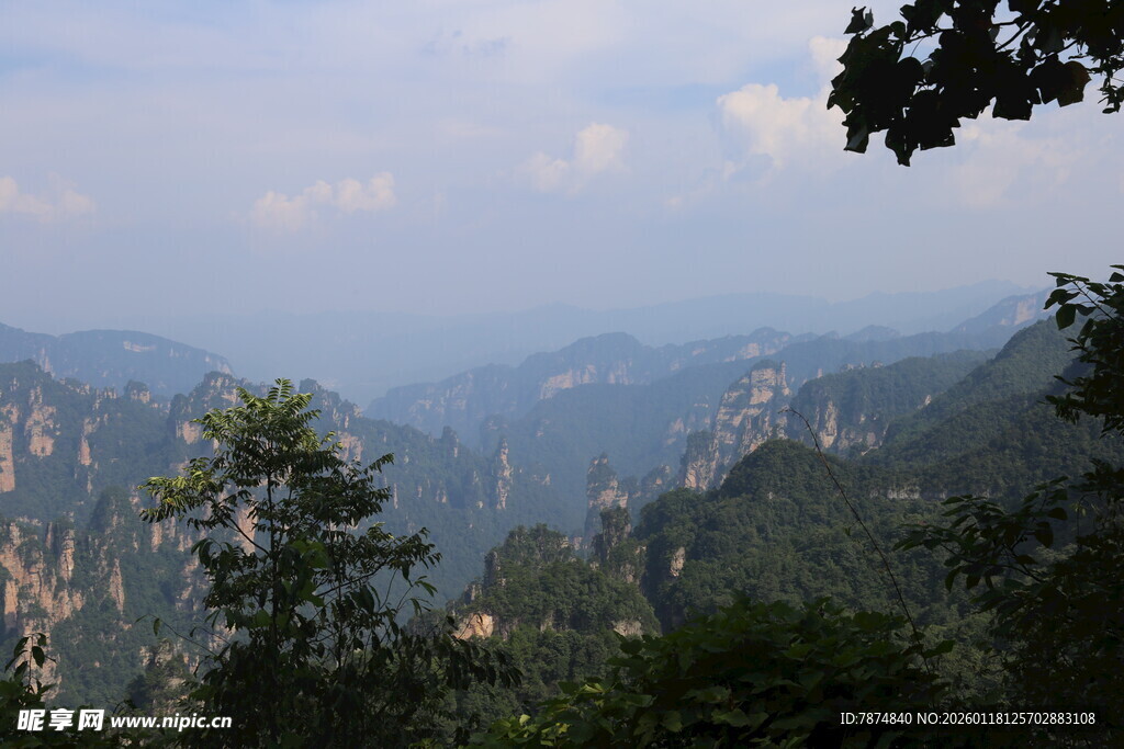壮丽山峦间的葱郁景色