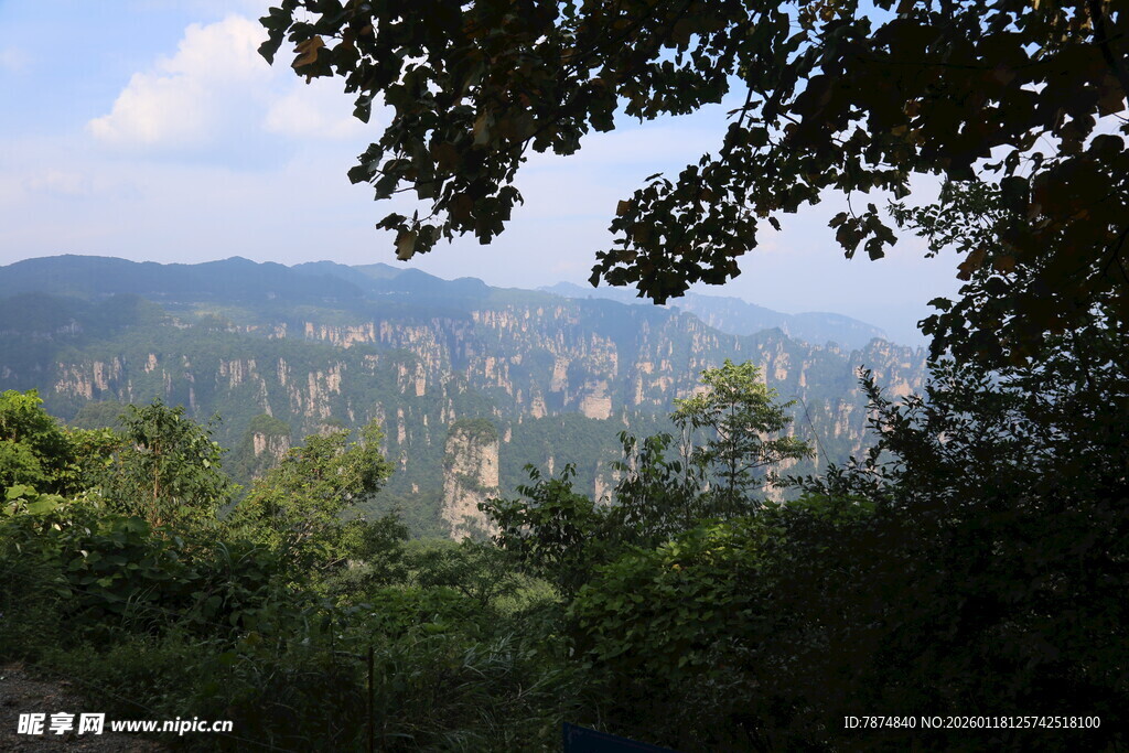 山间绿意盎然的自然景致