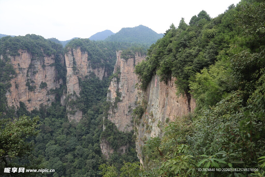 壮丽山景 绿意盎然的悬崖