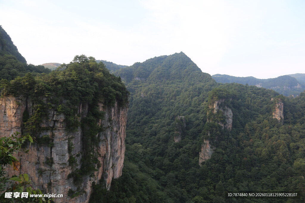 壮丽山景 悬崖绿植覆盖