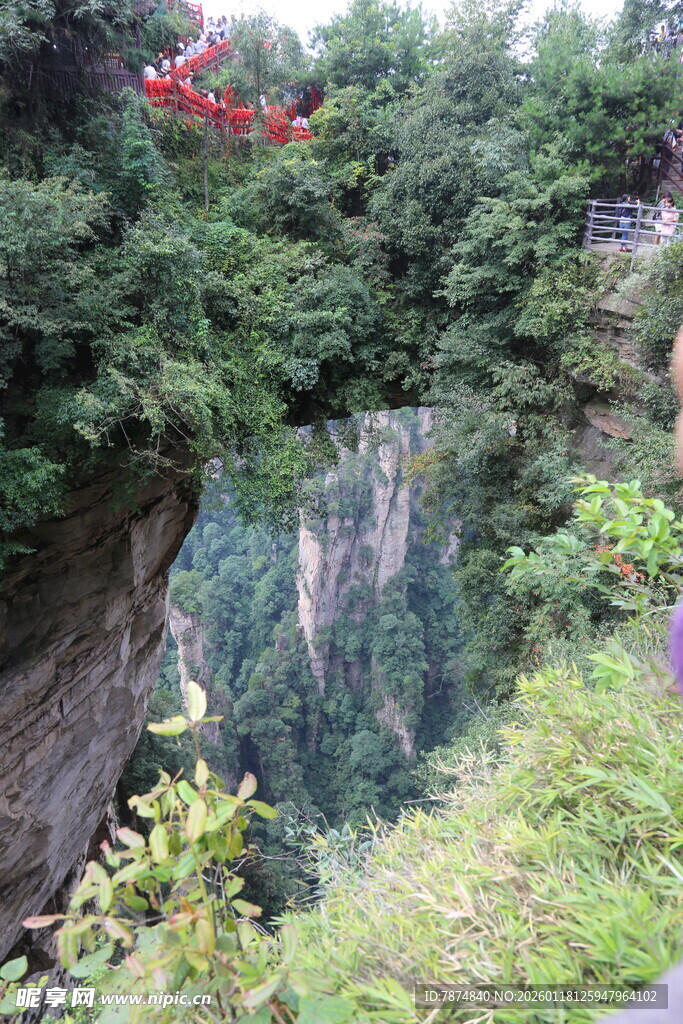悬崖绿植景观