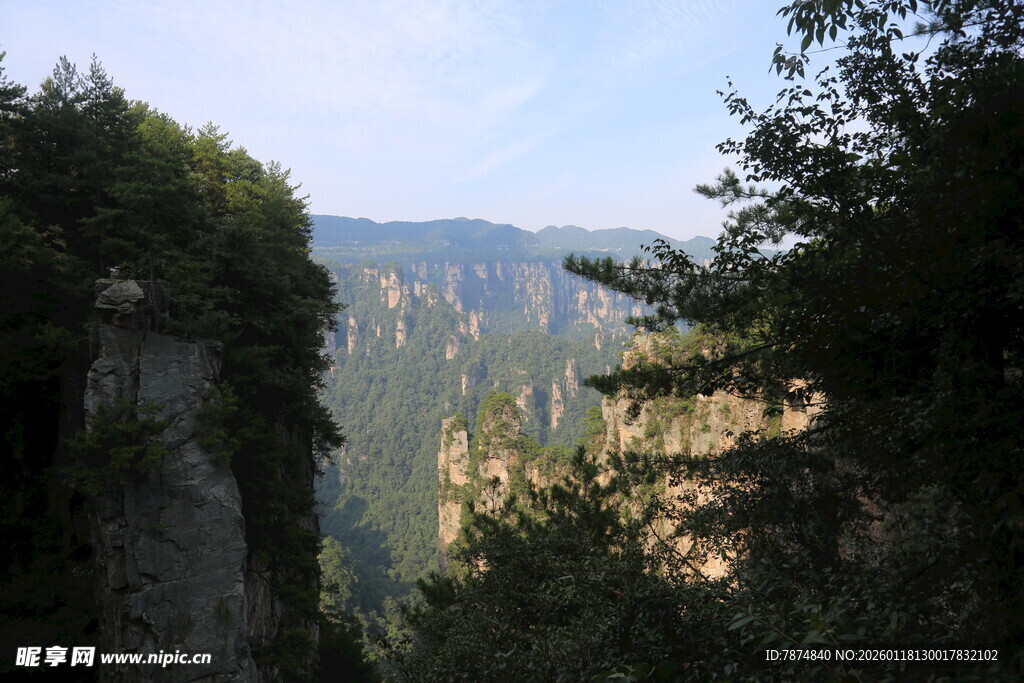 壮丽山谷间的山林美景