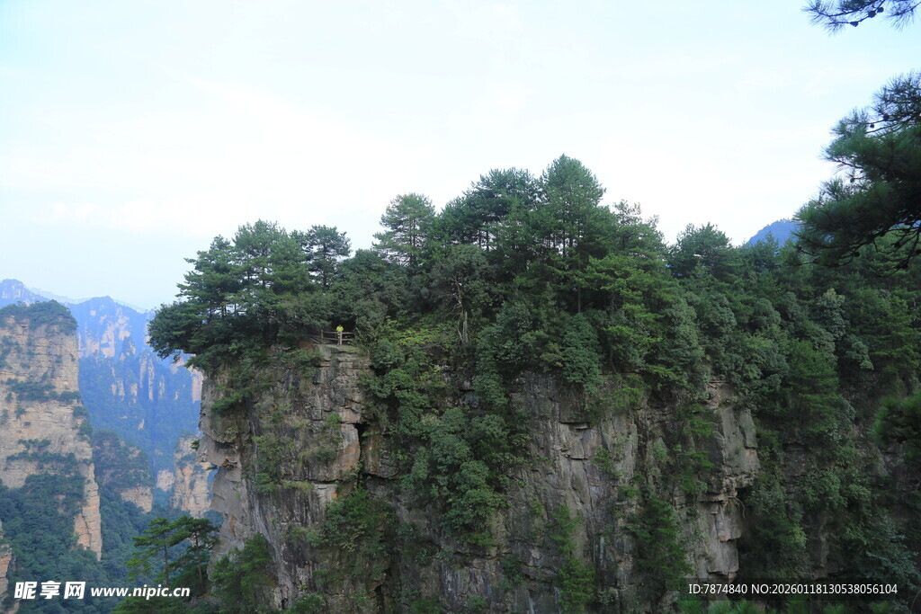 奇峰绿植的壮美山景