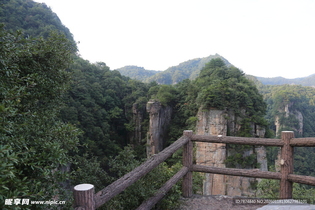 山间木栏旁的葱郁景致
