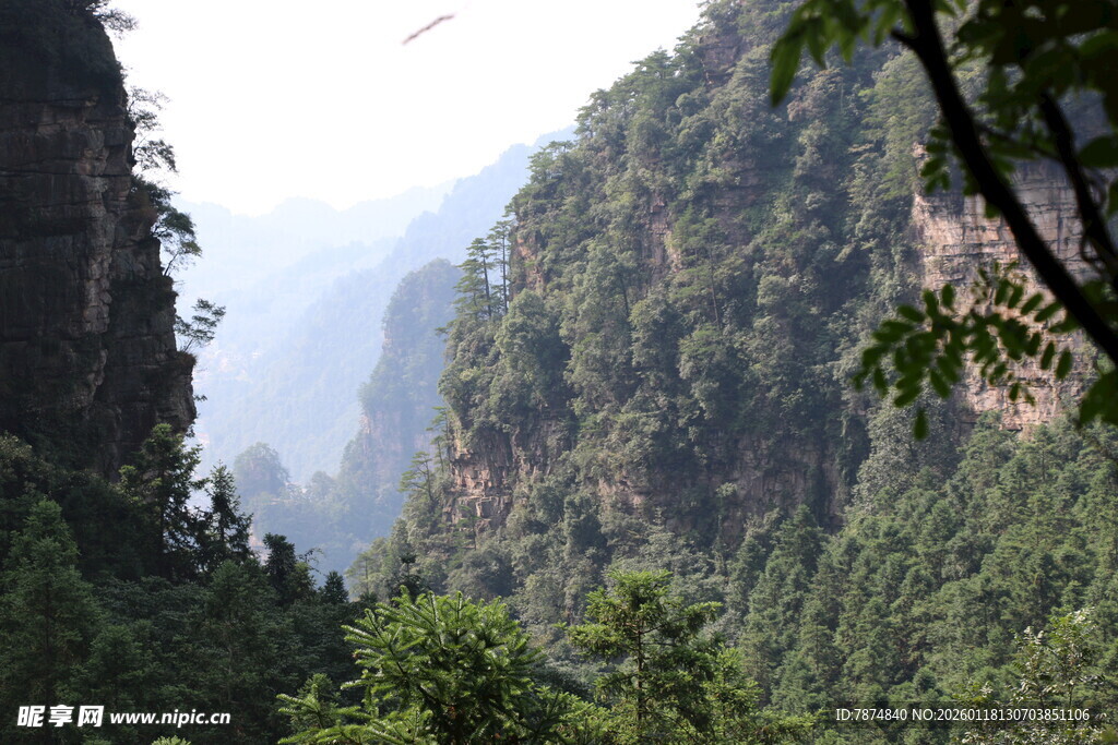 壮丽山景 绿意盎然的峡谷