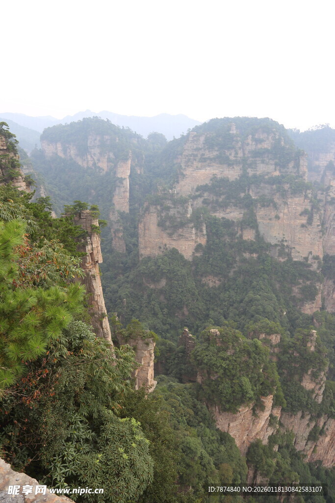 壮丽山峦间的葱郁景致