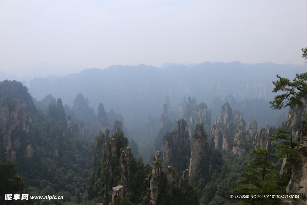 张家界奇峰美景