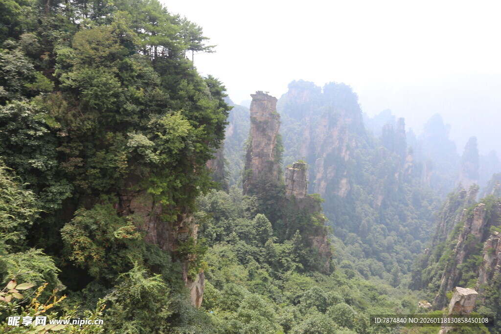 张家界奇峰绿树景观